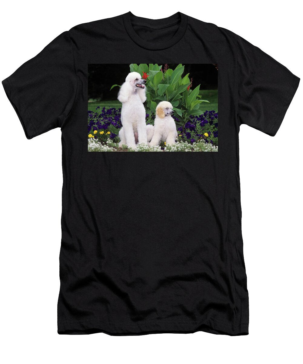 1990s White Standard Poodle Dogs Adult Animal Images T-Shirt