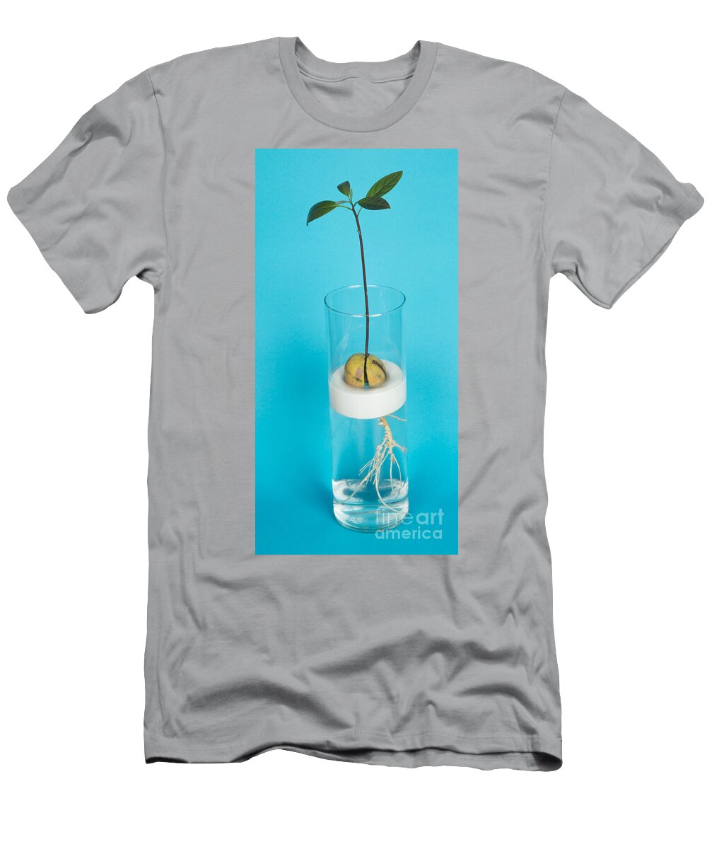 2 Avocado Seedling Ted Kinsman T-Shirt