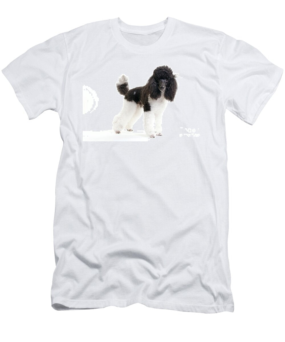 2 Black and White Poodle Jean Michel Labat T-Shirt
