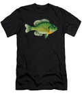 2 Bluegill Art Brim Fishing Freshwater Fish Gift Muc Designs T-Shirt