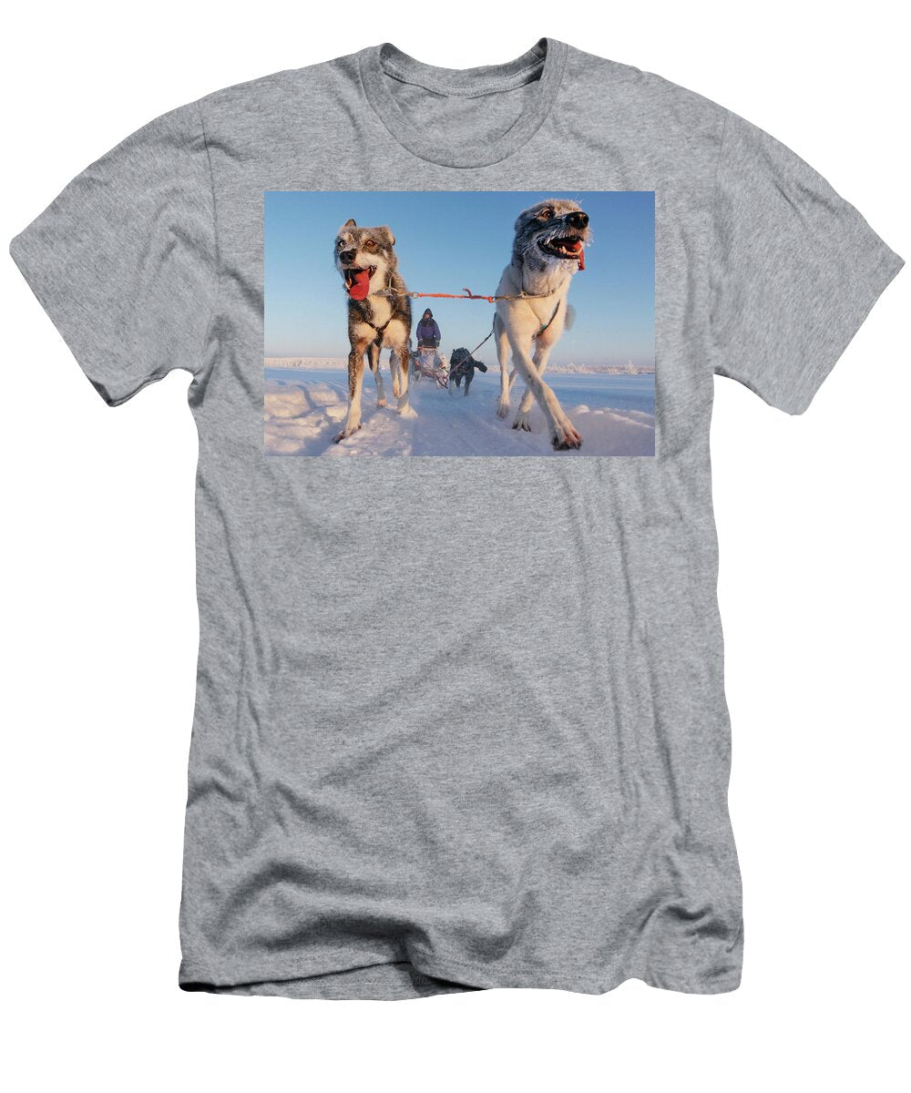 2 Dogsledding Near Kiruna Sweden Johnathan Ampersand Esper T-Shirt