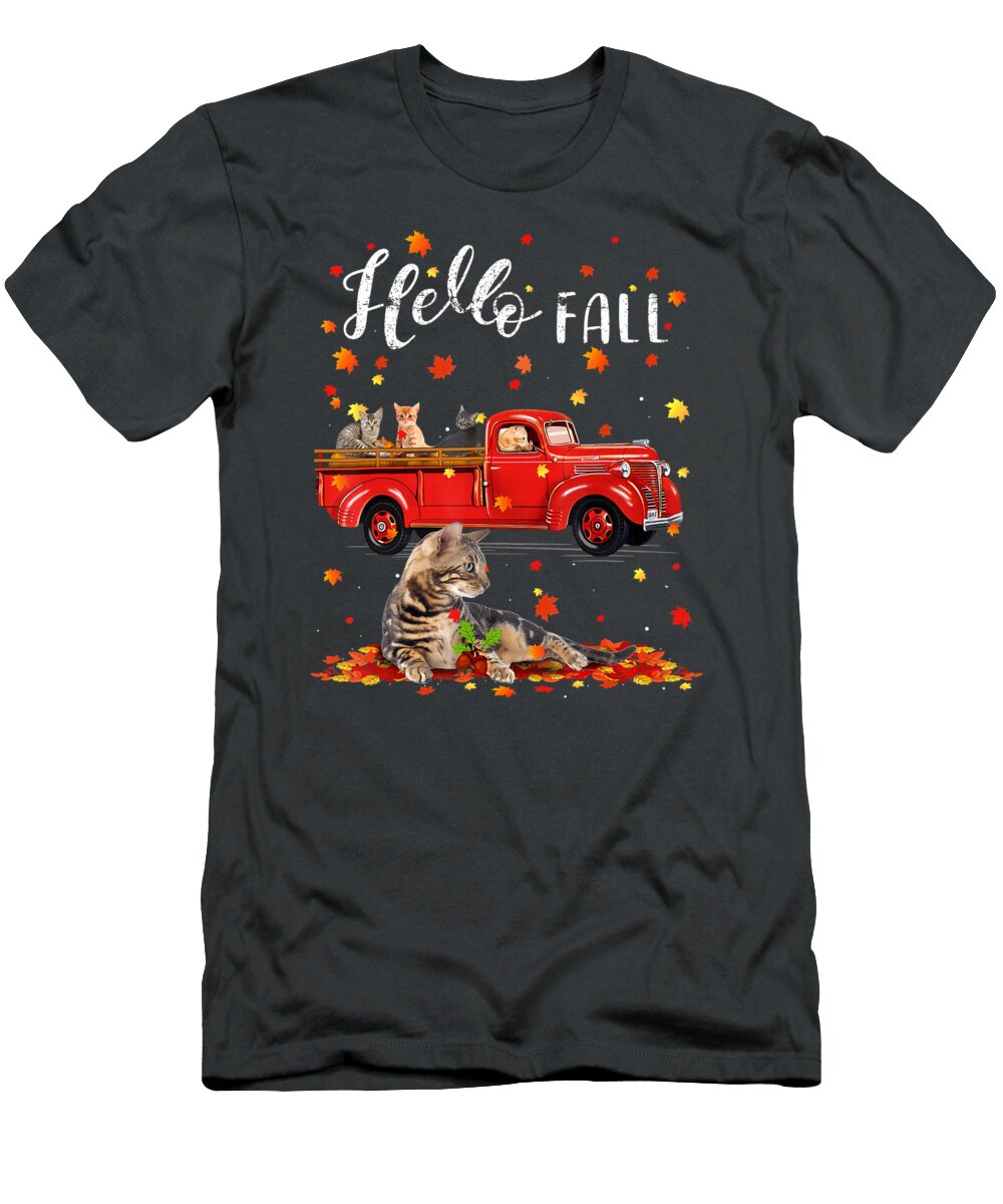2 Hello Fall Anh Nguyen T-Shirt
