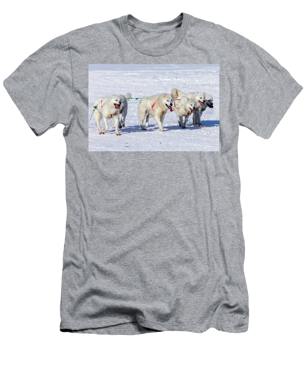2 Huskies in Ilulissat Greenland Joana Kruse T-Shirt