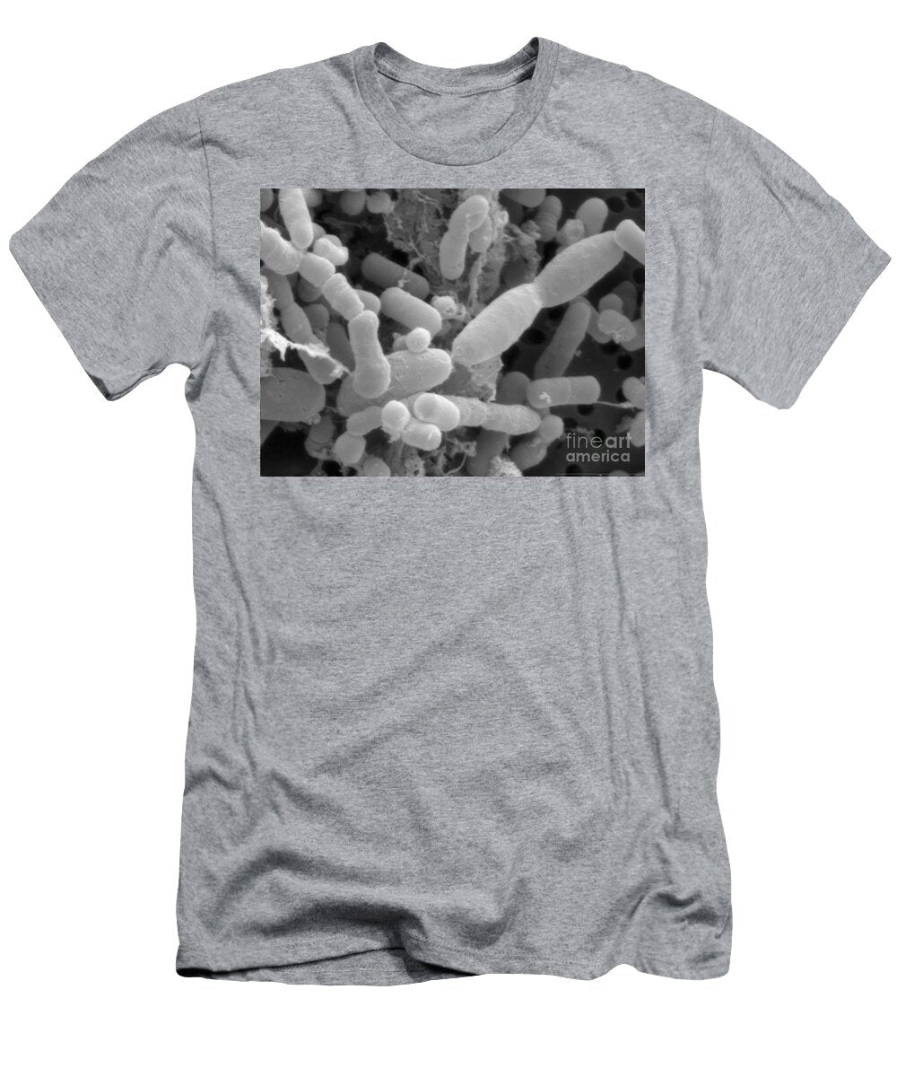 2 Microflora in a Pickled Vegetable Salad Scimat T-Shirt