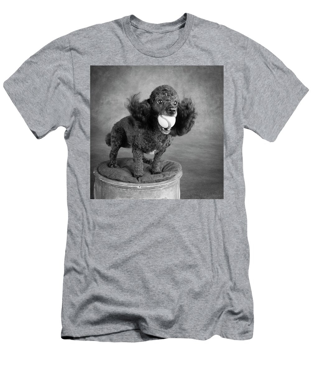 2 Portrait of a Mini Poodle Dog Panoramic Images T-Shirt