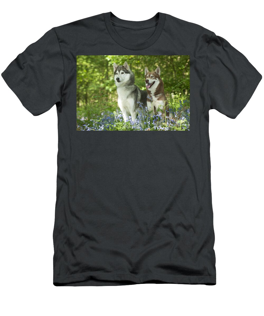 2 Siberian Huskies John Daniels T-Shirt