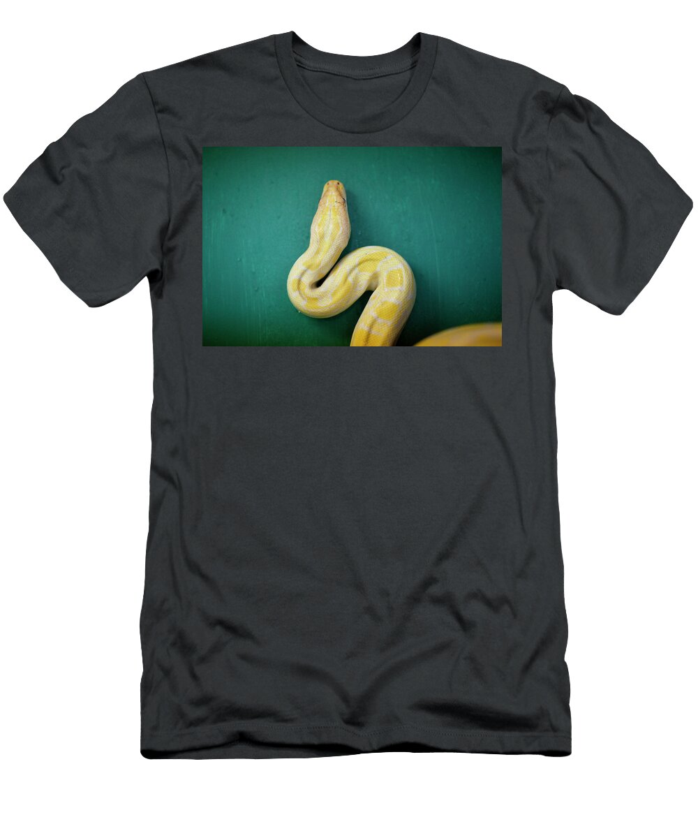 2 Venom Response Unit in the Search Robert Gallagher T-Shirt
