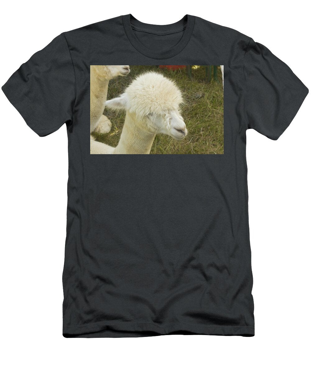2 White Alpaca Keith Webber Jr T-Shirt