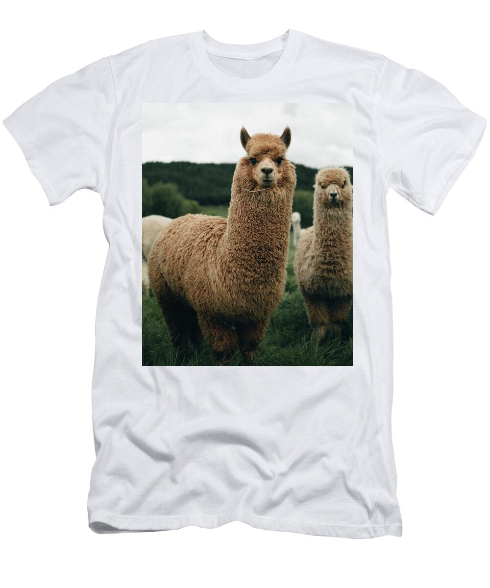 202 Beautiful Wildlife Photography Jeramy Hinfelaar T-Shirt