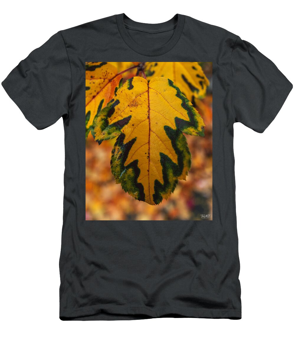 2023 10 26 Hawthorns Season Finale 2 Toby Large T-Shirt