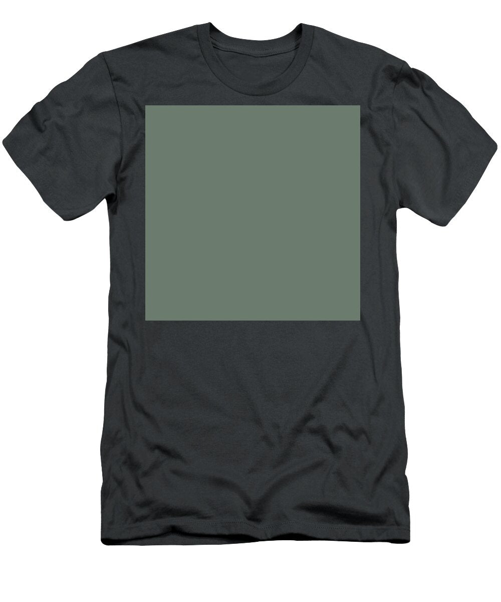 256 Ao Nibi Blue Dull Colour Artwork Japanese Traditional Colours Wan Razak T-Shirt