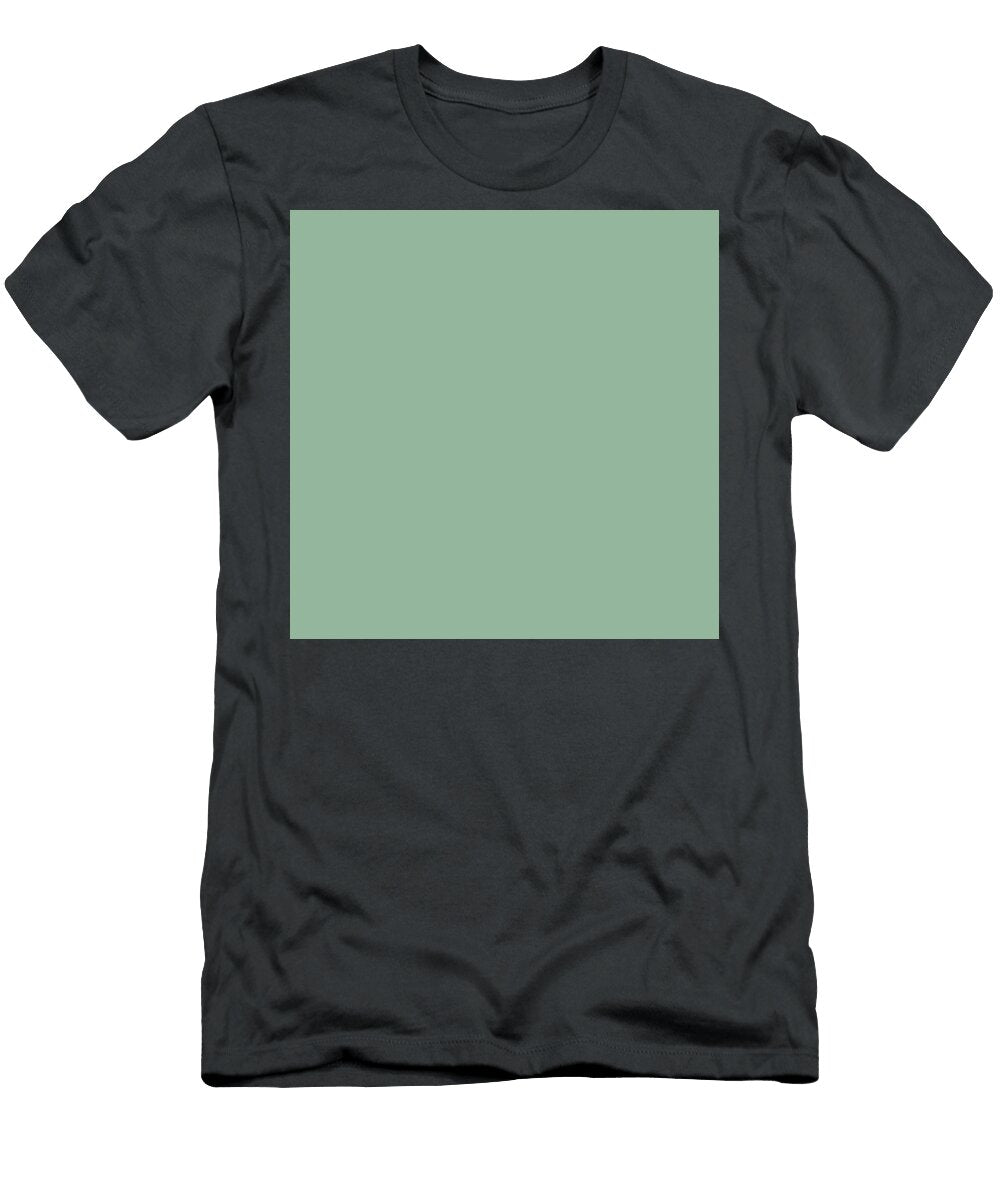 258 Usu Ao Pale Blue Colour Artwork Japanese Traditional Colours Wan Razak T-Shirt
