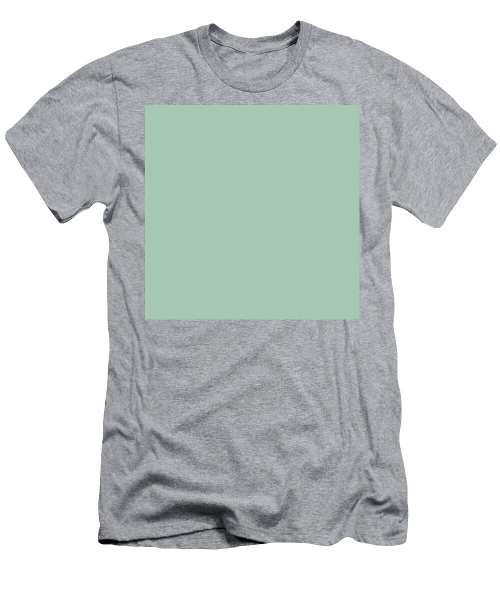 259 Sabi Seiji Rusty Celadon Porcelain Colour Artwork Japanese Traditional Colours Wan Razak T-Shirt