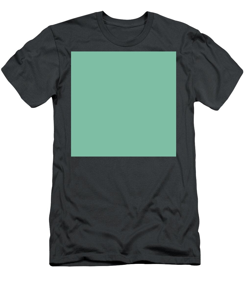 267 Seiji Iro Celadon Porcelain Color Colour Artwork Japanese Traditional Colours Wan Razak T-Shirt