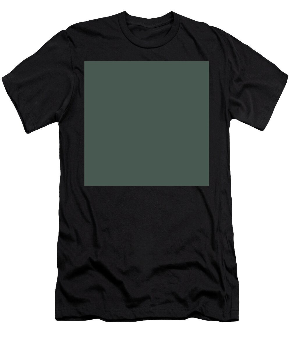 273 Kawa Iro Leather Color Colour Artwork Japanese Traditional Colours Wan Razak T-Shirt
