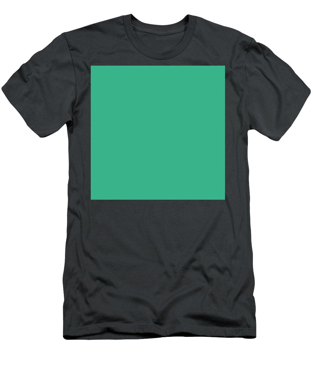 278 Hisui Iro Kingfisher Color Colour Artwork Japanese Traditional Colours Wan Razak T-Shirt