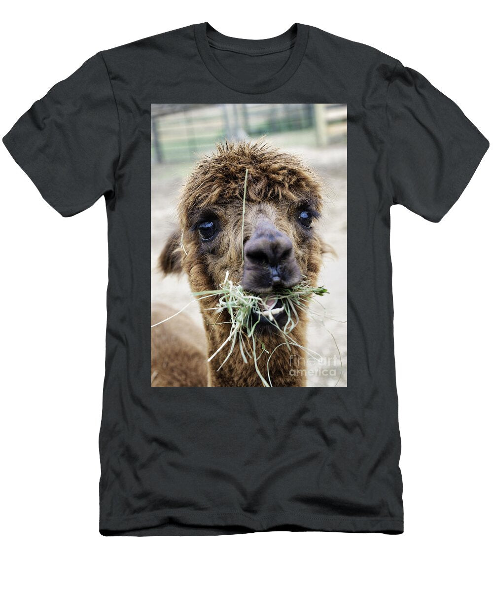 3 Alpaca John Greim T-Shirt