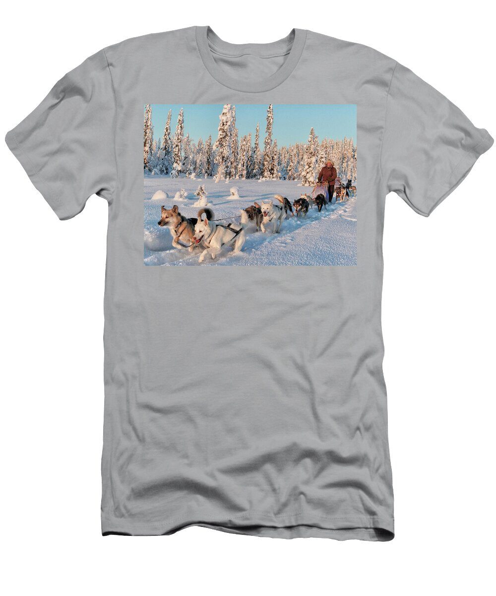 3 Dogsledding Through the Forest Johnathan Ampersand Esper T-Shirt