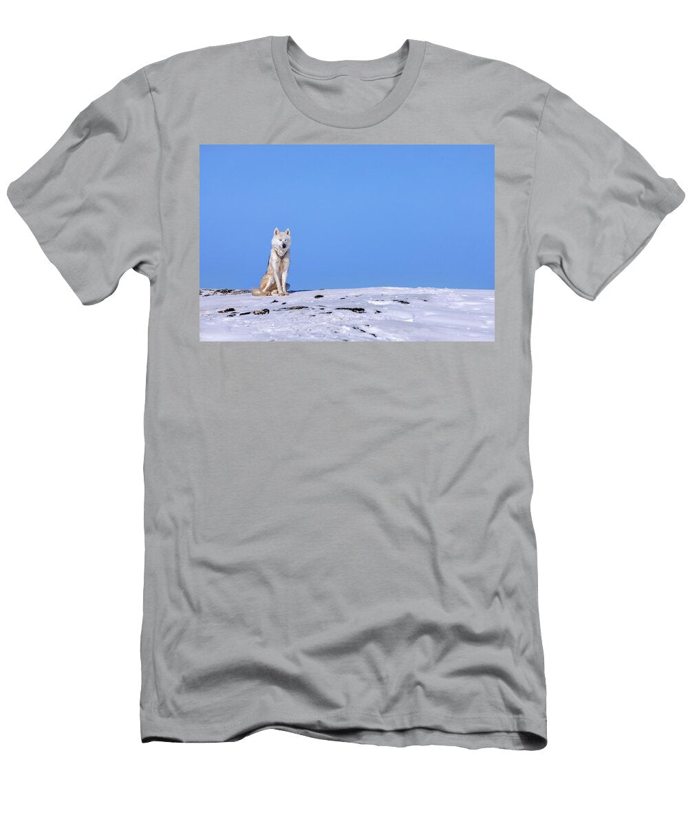 3 Huskies in Ilulissat Greenland Joana Kruse T-Shirt