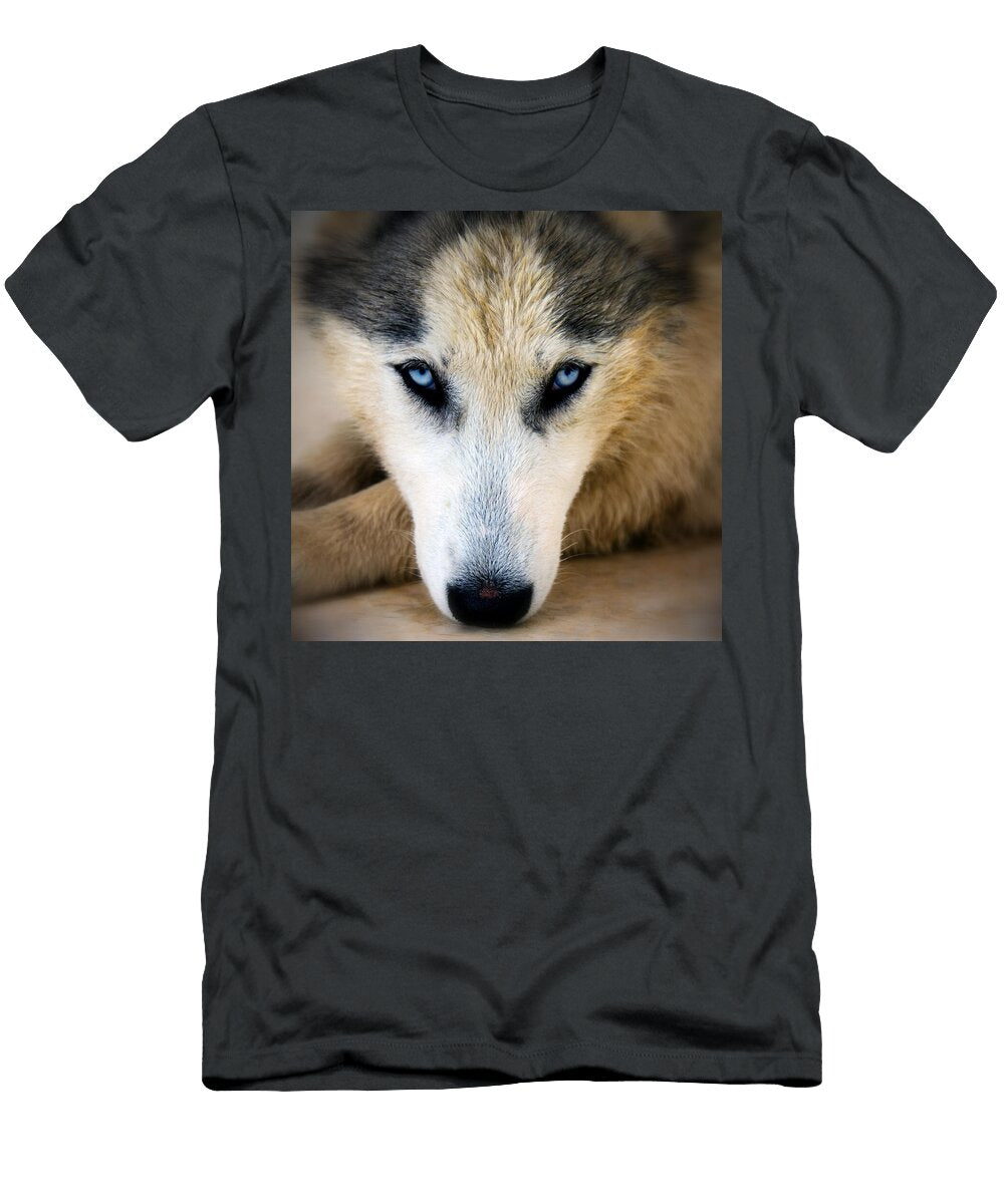 3 Husky Stylianos Kleanthous T-Shirt