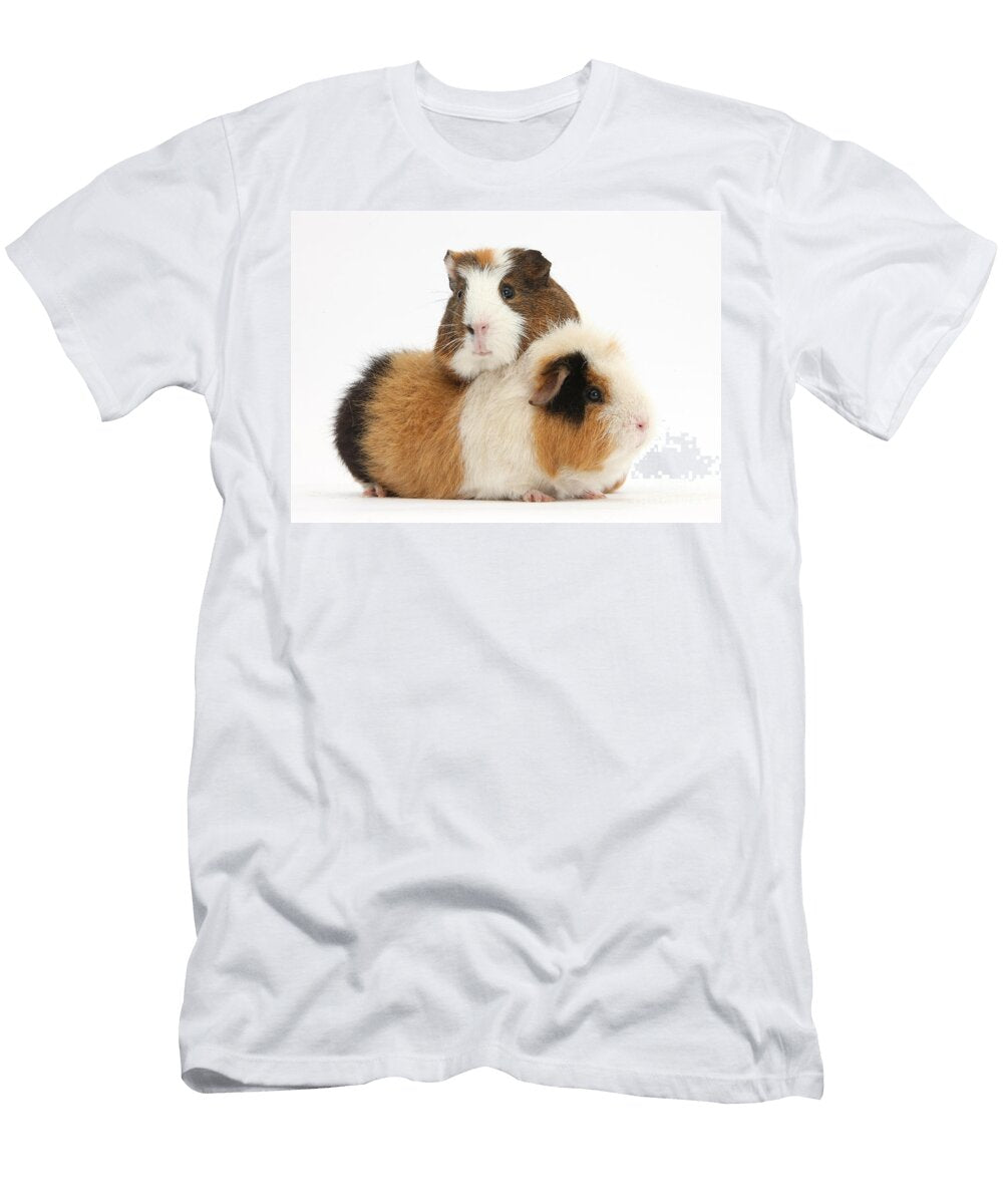 3 Two Guinea Pigs Mark Taylor T-Shirt