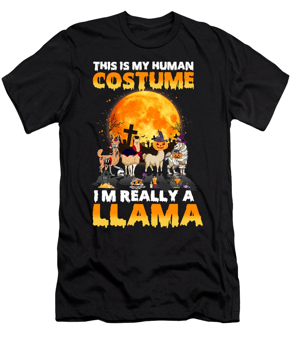 39 Llama Alpaca Alpacas Camelid Camel Cute Llama Funny Llama Llama Art Llama Drama Animal Llama Lover No Prob Llama Grover Mcclure T-Shirt