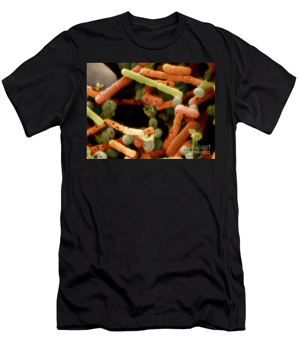 4 Bacteria in Olive Brine Scimat T-Shirt