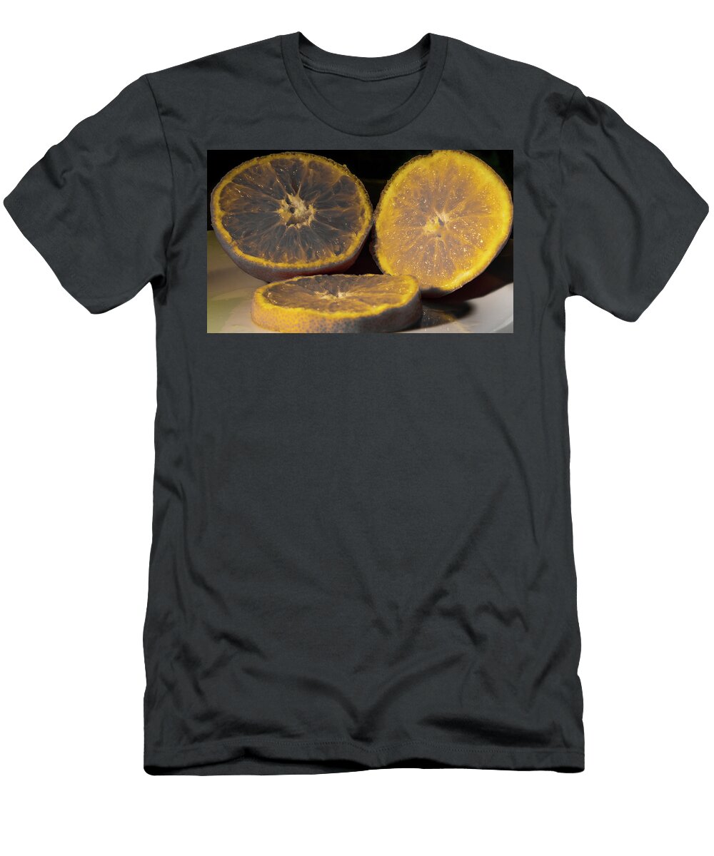 4 Fresh Fruit Ric Schafer T-Shirt