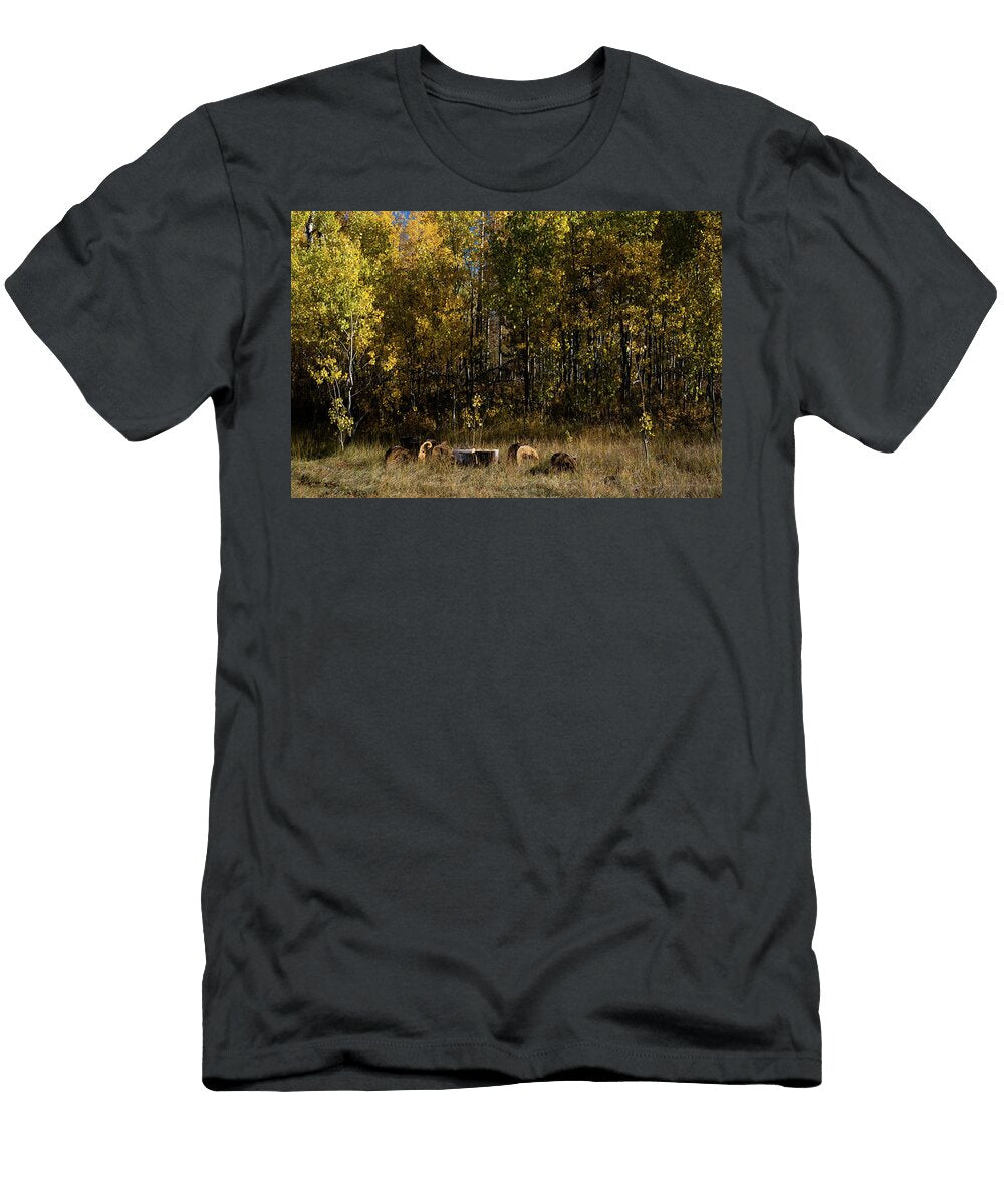 4 Wyoming Fall Julieta Belmont T-Shirt