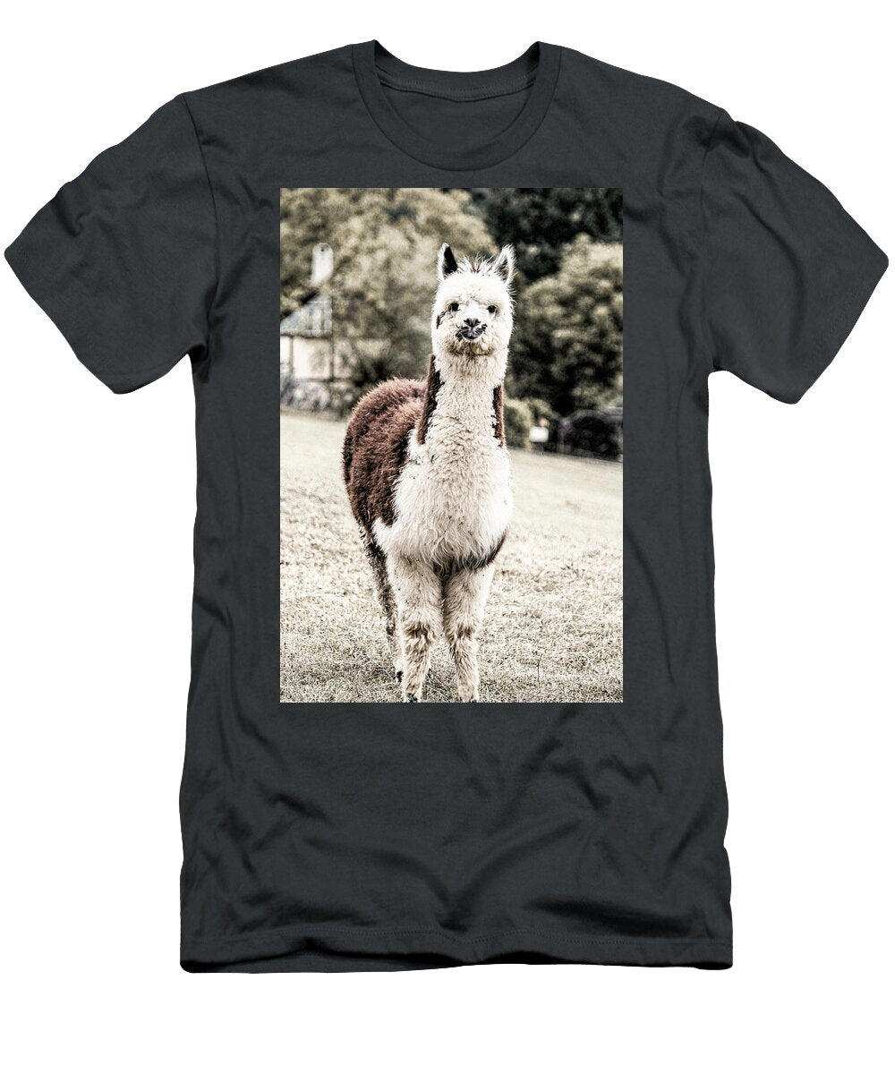 69 Farmhouse Photography Jeramy Hinfelaar T-Shirt