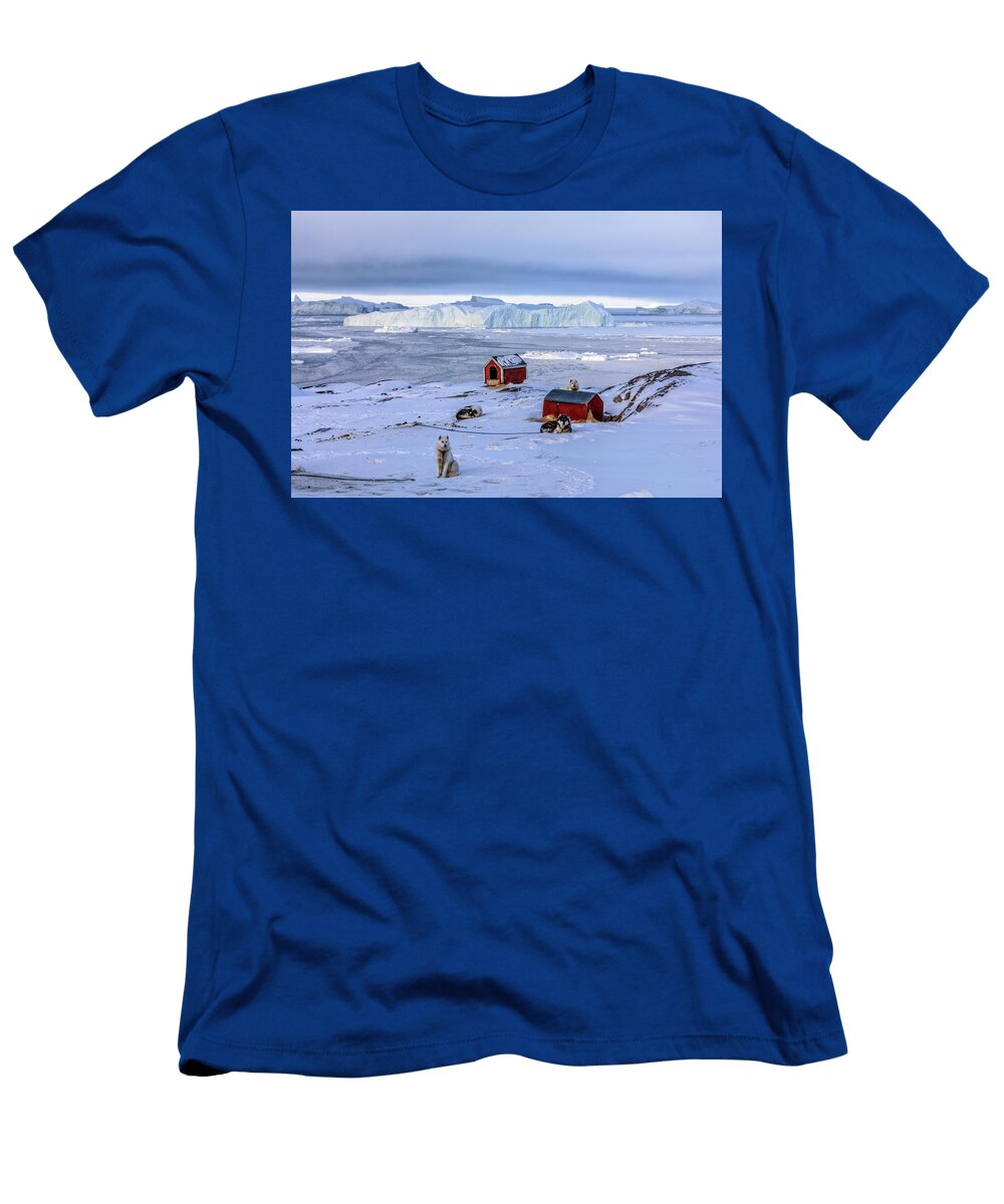7 Huskies in Ilulissat Greenland Joana Kruse T-Shirt