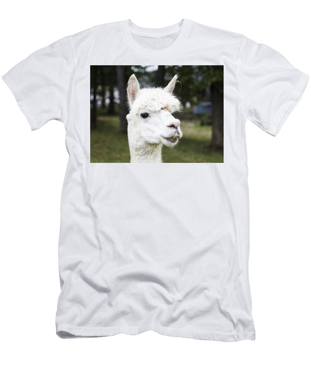 A Llama Peers At a Passerby From Its Copse on a Farm Near Plato in Lagrange County Indiana Les Classics T-Shirt