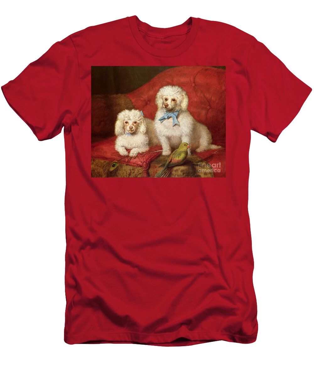 A Pair of Poodles English School T-Shirt