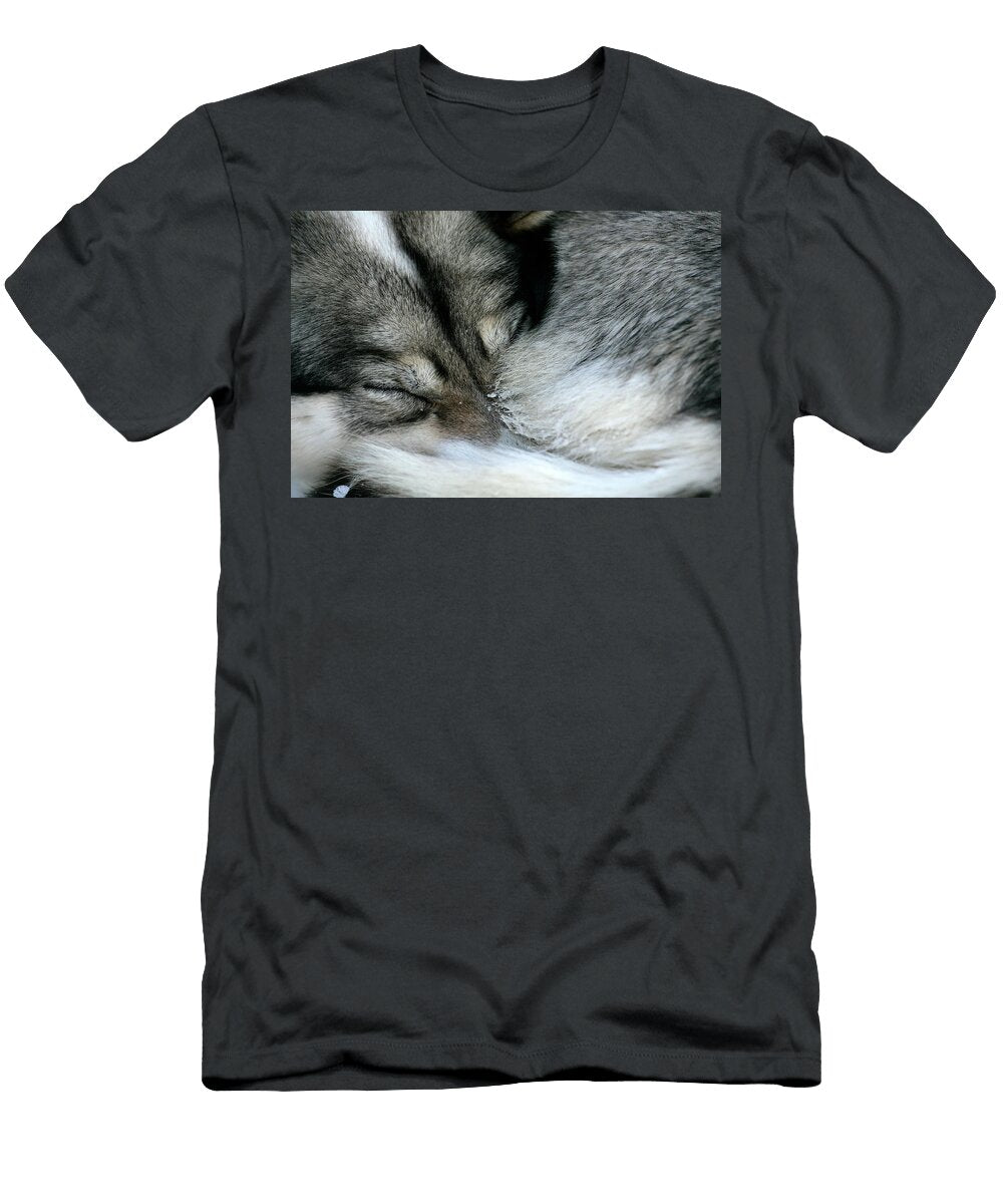 A Siberian Husky Curled Up and Sleeping David Santiago Garcia T-Shirt