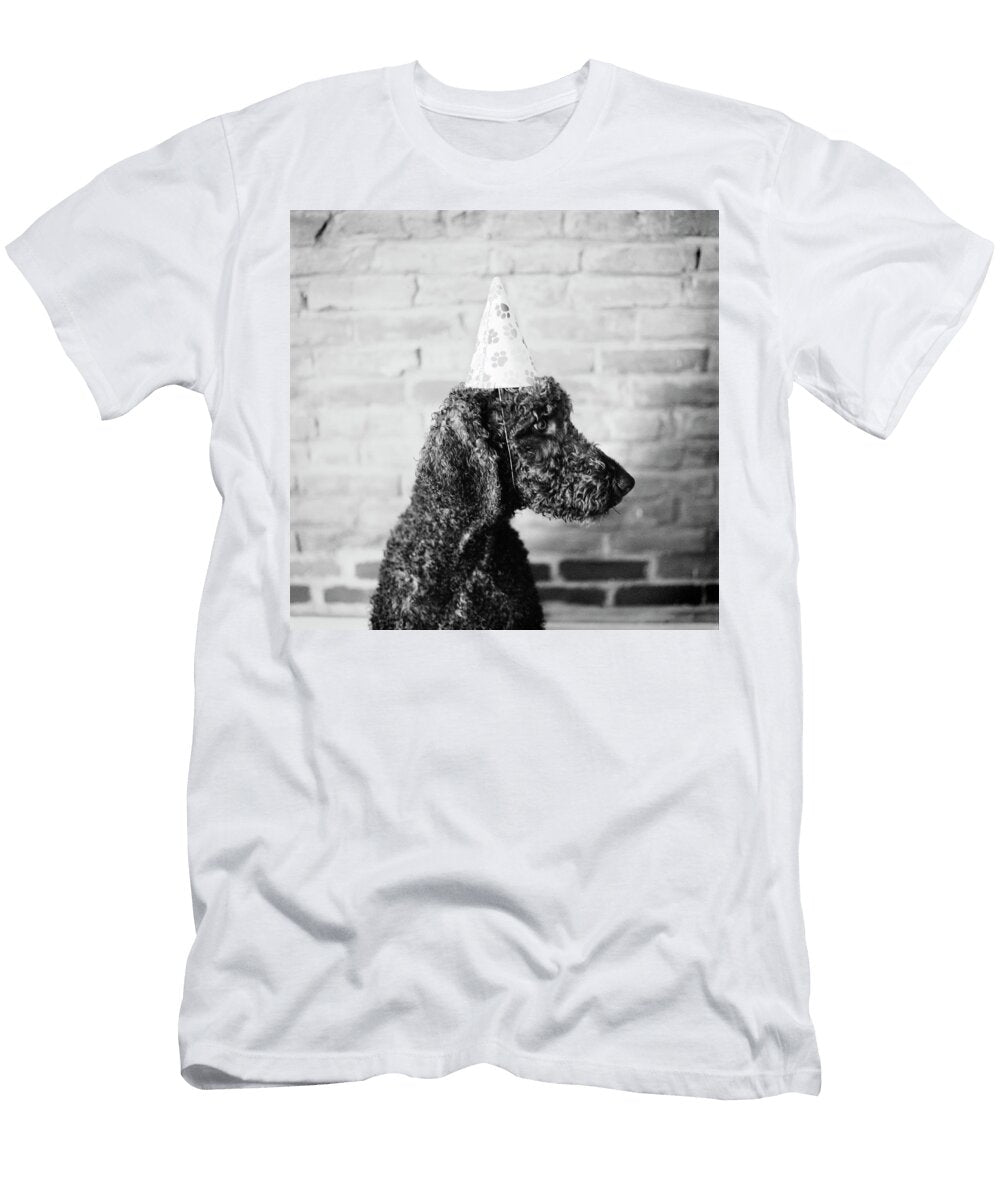 A Standard Poodle Dog Wears a Birthday Ryan Donnell T-Shirt