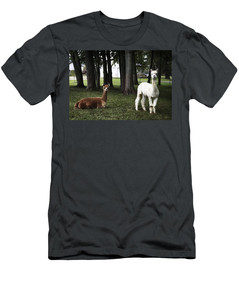 A Steam Train Crosses the 156 Foot Tall Bass Point Creek Bridge Les Classics T-Shirt