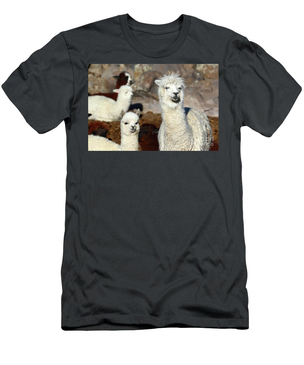 A Watchful Eye James Brunker T-Shirt