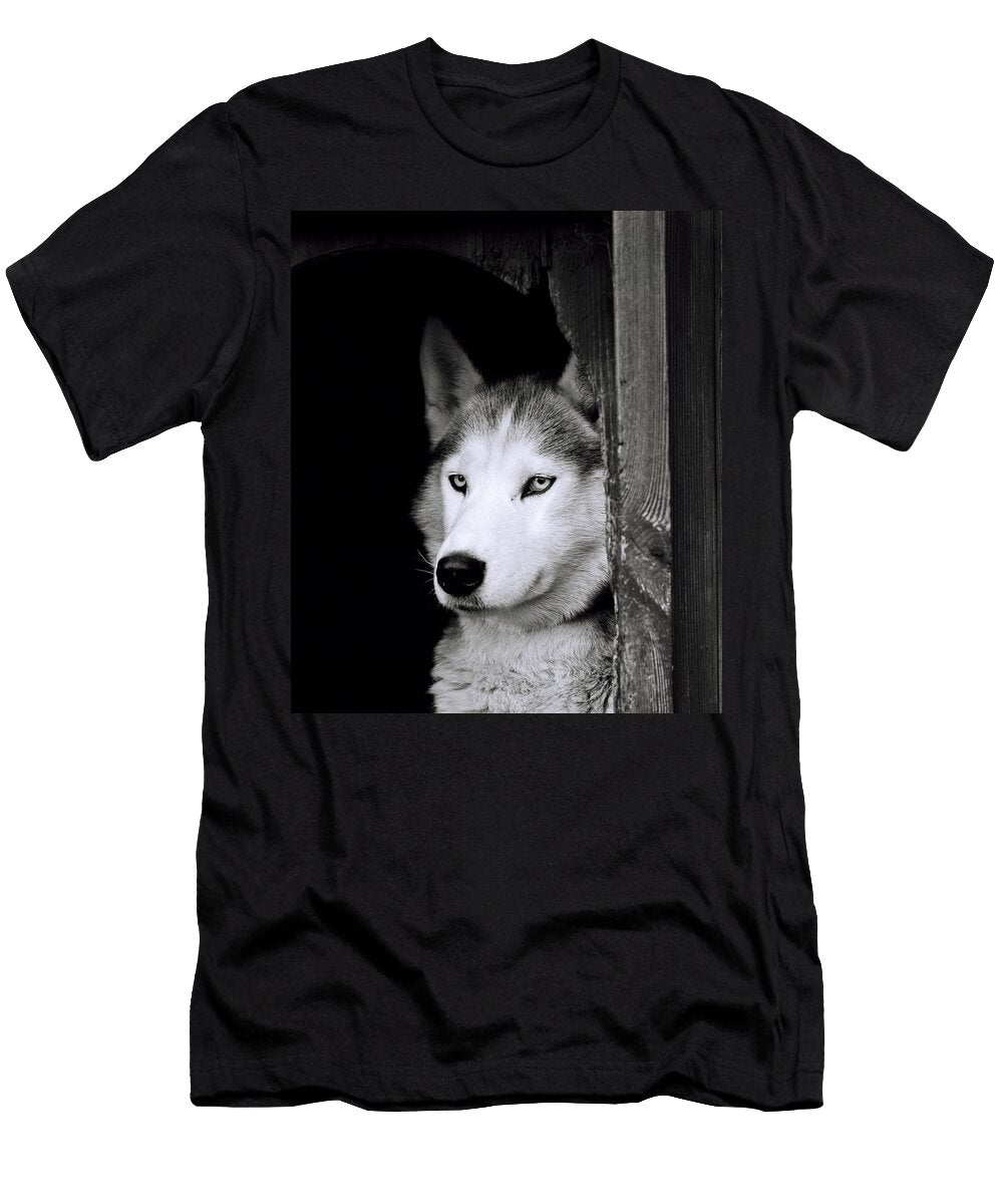 A Watchful Husky Dog Shaun Higson T-Shirt