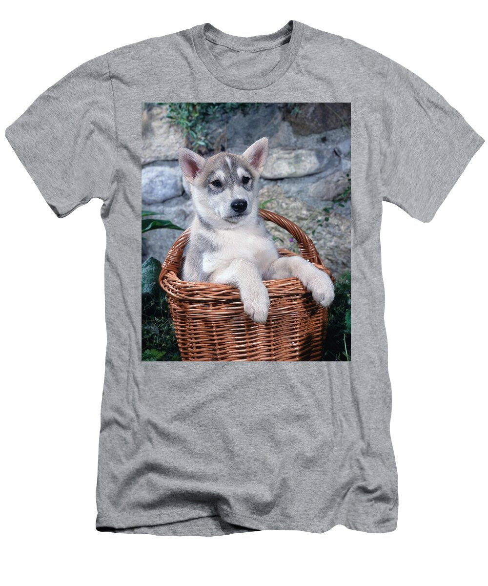 Alaskan Husky in a Basket Robert Maier T-Shirt