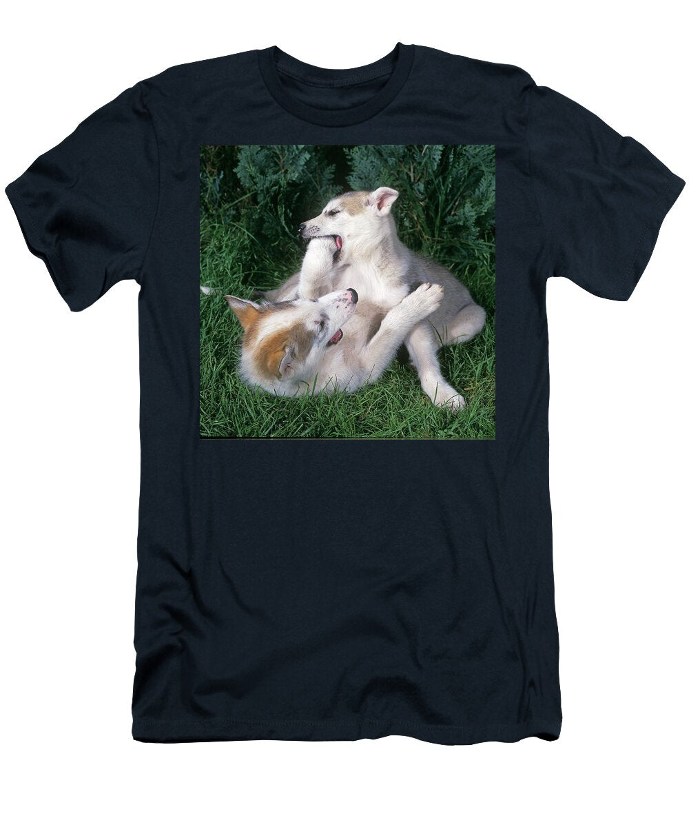Alaskan Husky Puppies Robert Maier T-Shirt