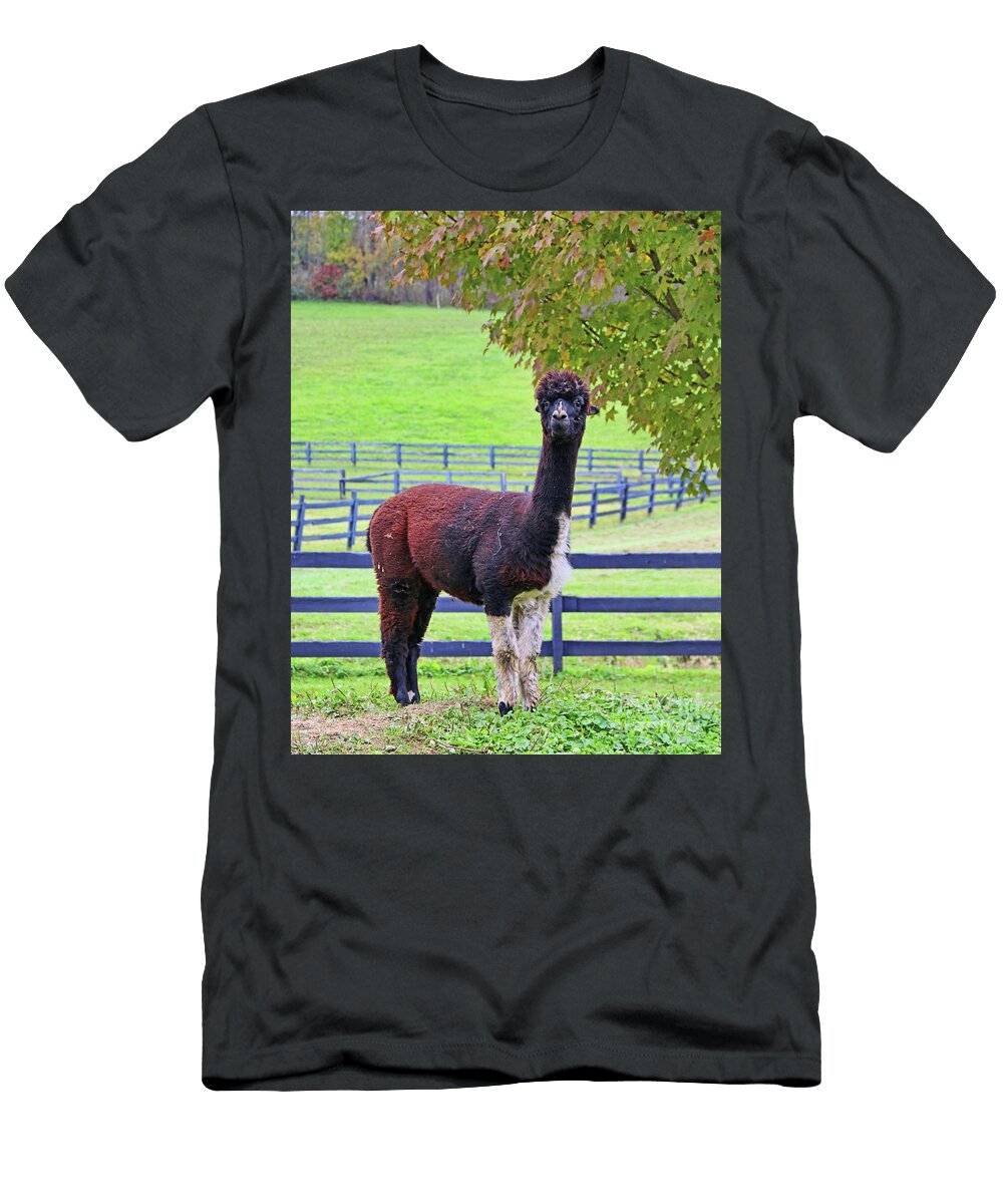 Alpaca 5372 Jack Schultz T-Shirt