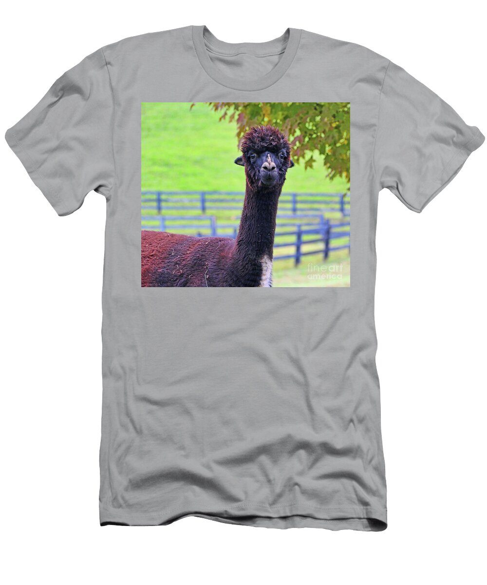 Alpaca 5373 Jack Schultz T-Shirt