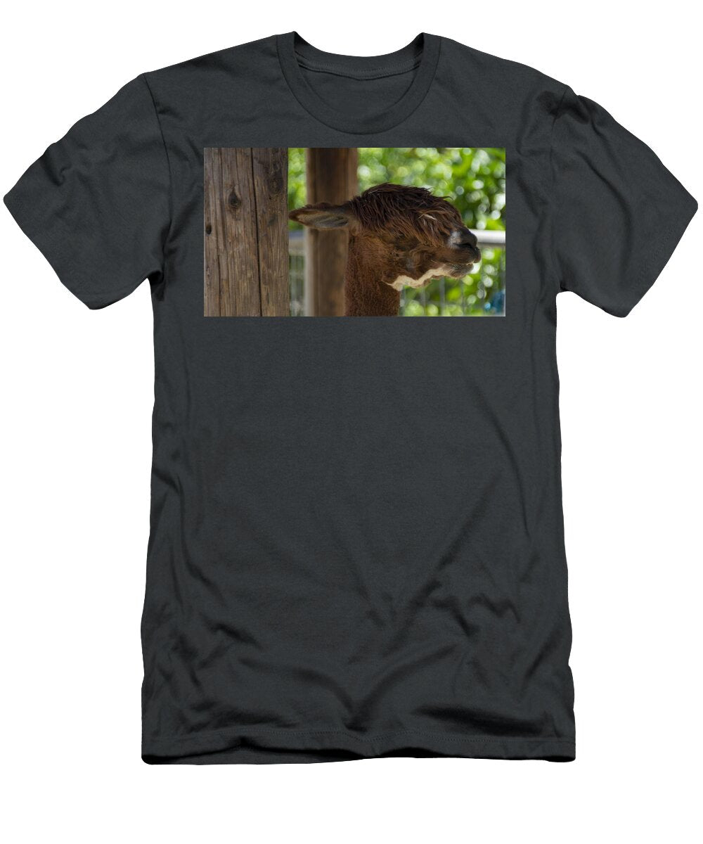 Alpaca A2 Les Classics T-Shirt