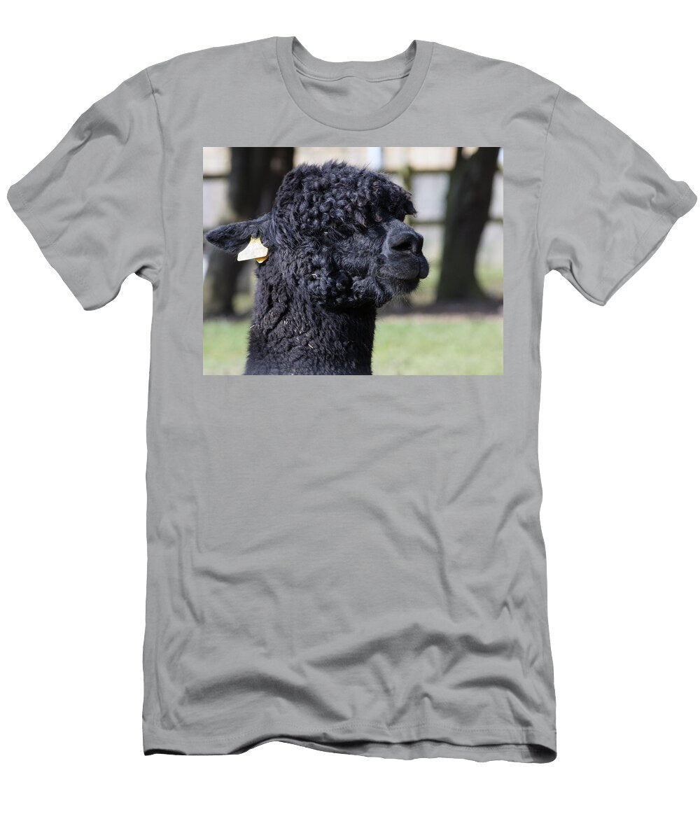Alpaca A9 Les Classics T-Shirt