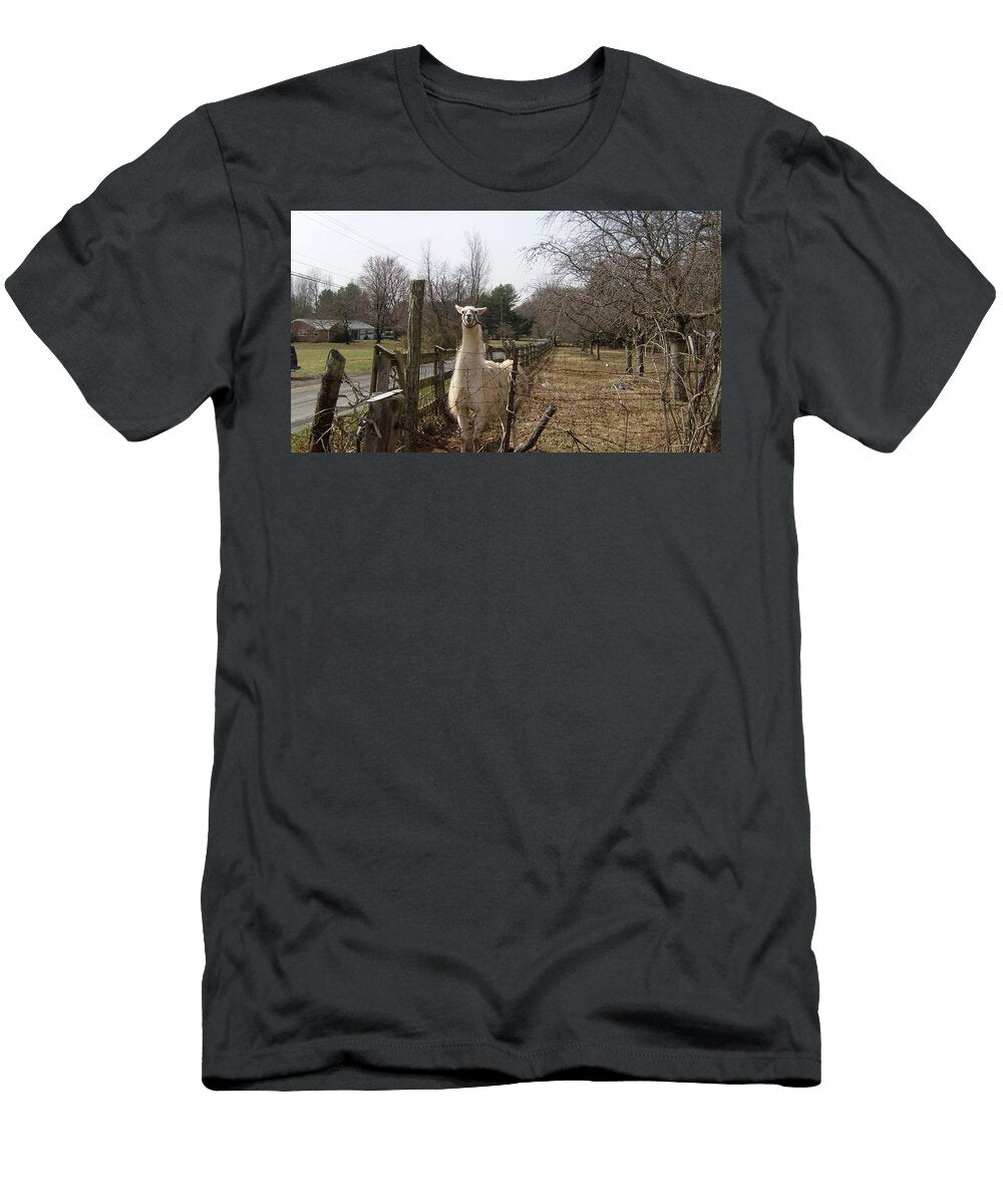 Alpaca and Fence Les Classics T-Shirt