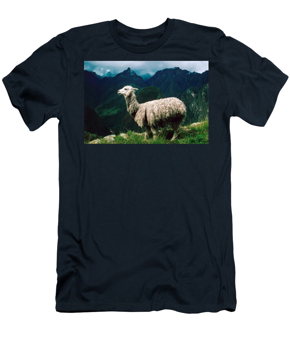 Alpaca Andes Peru George Holton T-Shirt
