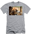 Alpaca At Petting Zoo Les Classics T-Shirt