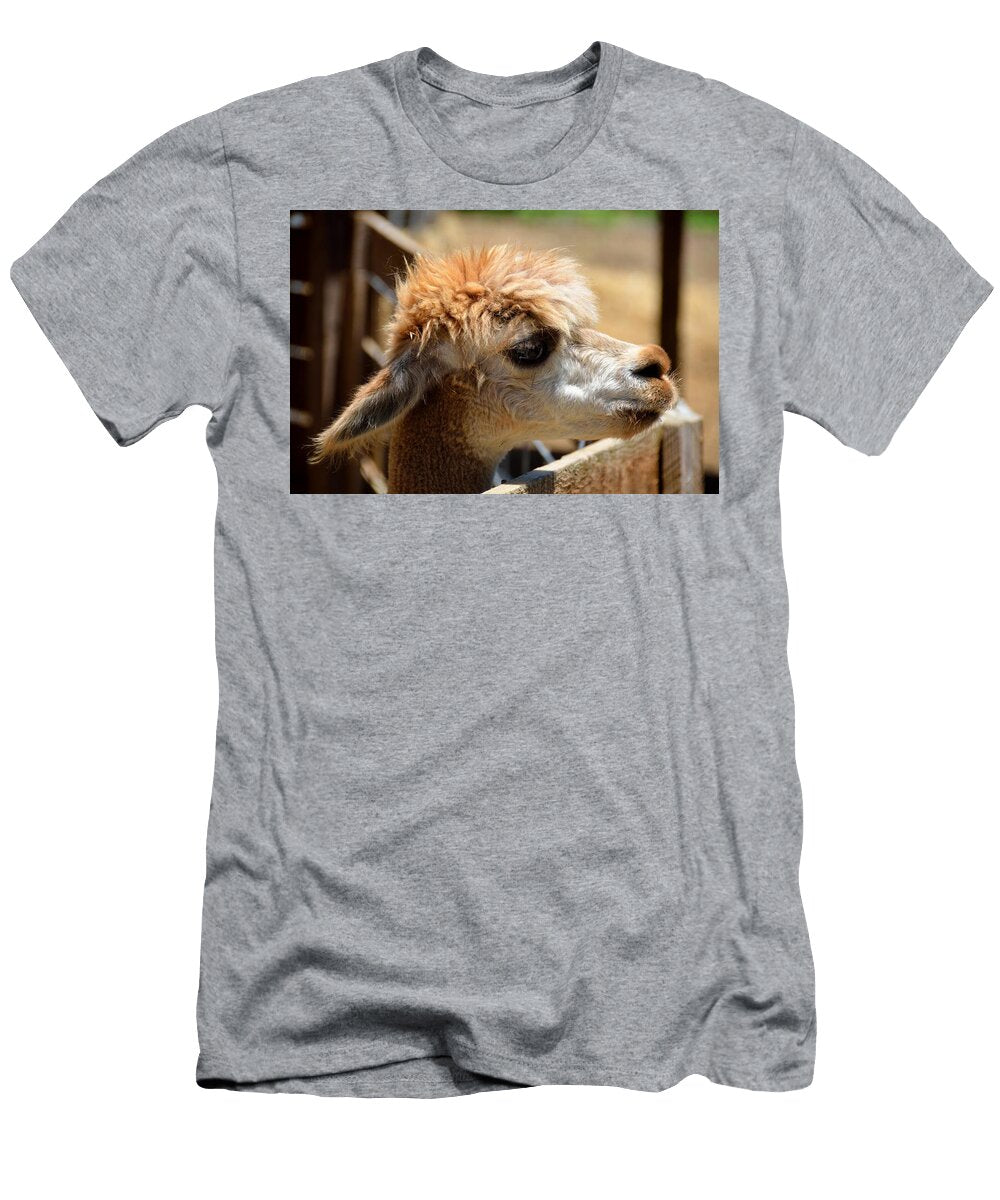 Alpaca At Petting Zoo Les Classics T-Shirt