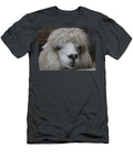 Alpaca B1 Les Classics T-Shirt