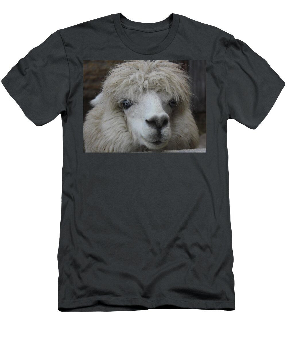 Alpaca B1 Les Classics T-Shirt